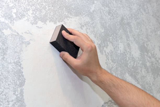 Mold Odor Removal Services in Belvidere, NJ