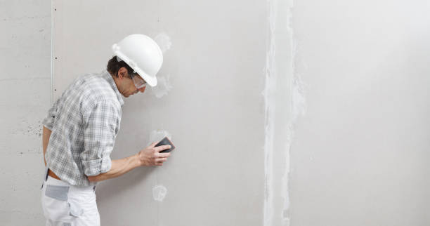 Best Forensic Mold Investigation  in Belvidere, NJ