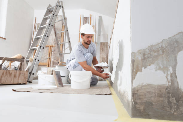 Best Air Quality Testing for Mold Spores  in Belvidere, NJ