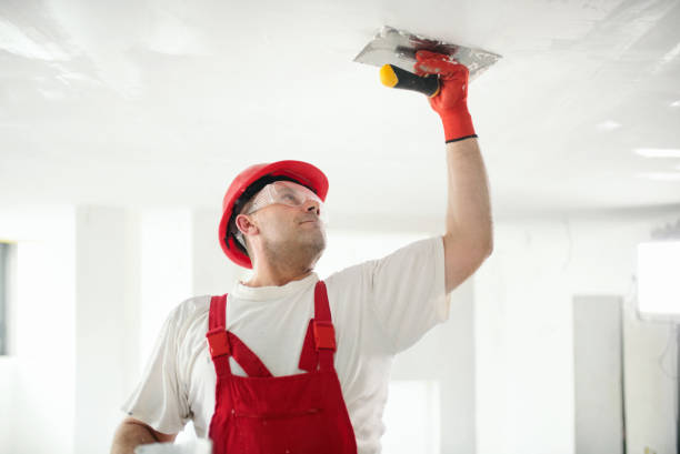 Mold Removal for HVAC Installations in Belvidere, NJ