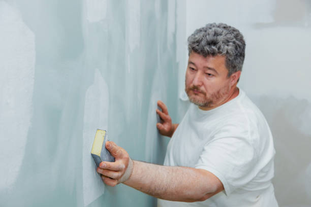 Best Emergency Mold Remediation  in Belvidere, NJ