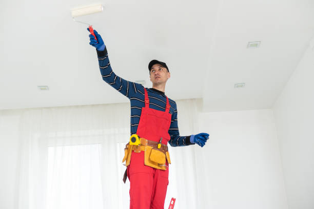  Belvidere, NJ Mold Removal Pros