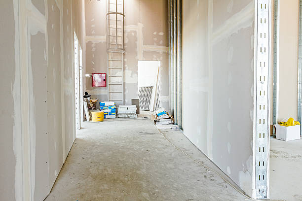 Best Water Damage & Mold Remediation  in Belvidere, NJ