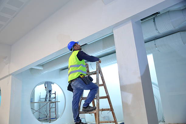 Best Real Estate Mold Inspection  in Belvidere, NJ