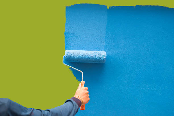 Environmental Consulting for Mold Prevention in Belvidere, NJ